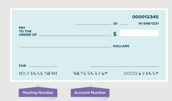 What Is an eCheck: Covering the Basics - DSers
