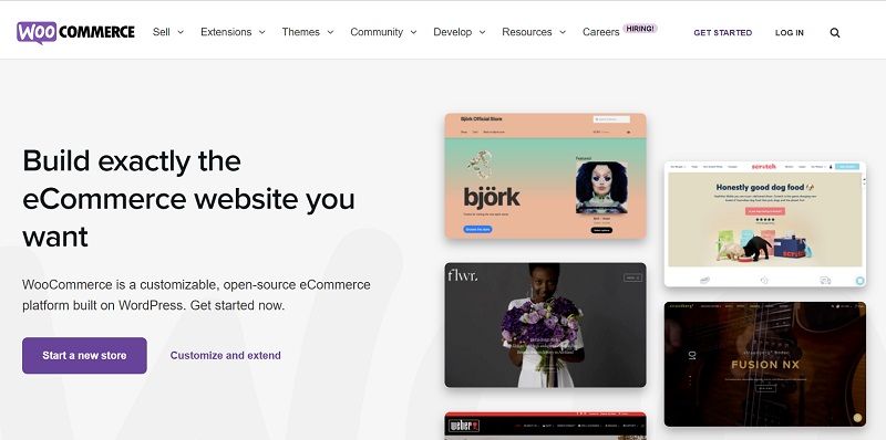 WooCommerce Basics: What is it all About? - DSers