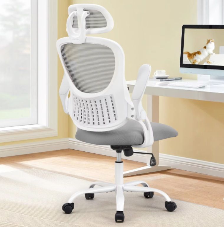 Ergonomic Office Chairs - DSers