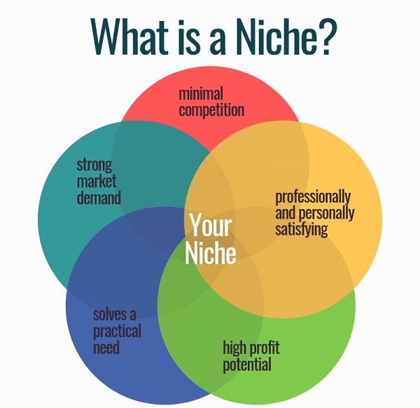 Tip 2: Focus on Developing a Niche - DSers