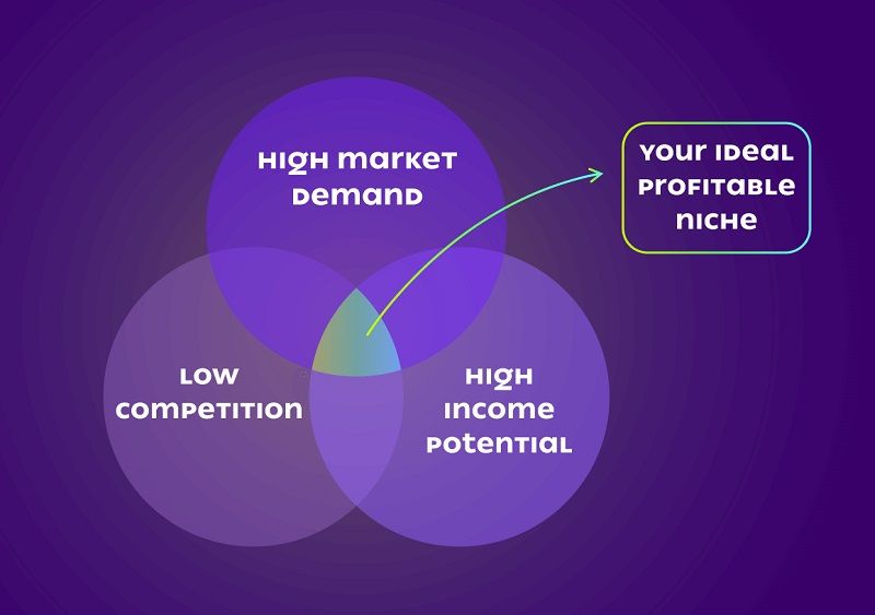 Trend 3: Focus on Niche Products and Marketing - DSers