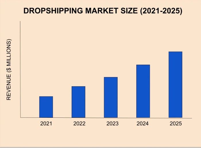 Dropshipping Market Size - DSers