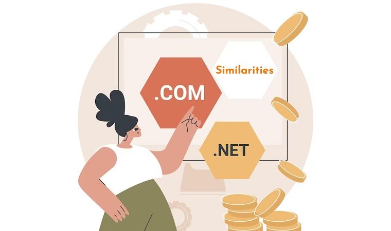 net vs com: there are also some similarities - DSers