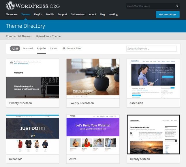 WordPress - DSers