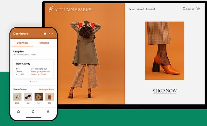 Wix Main Page - DSers