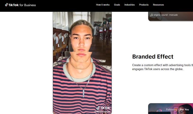 Branded Effect - DSers