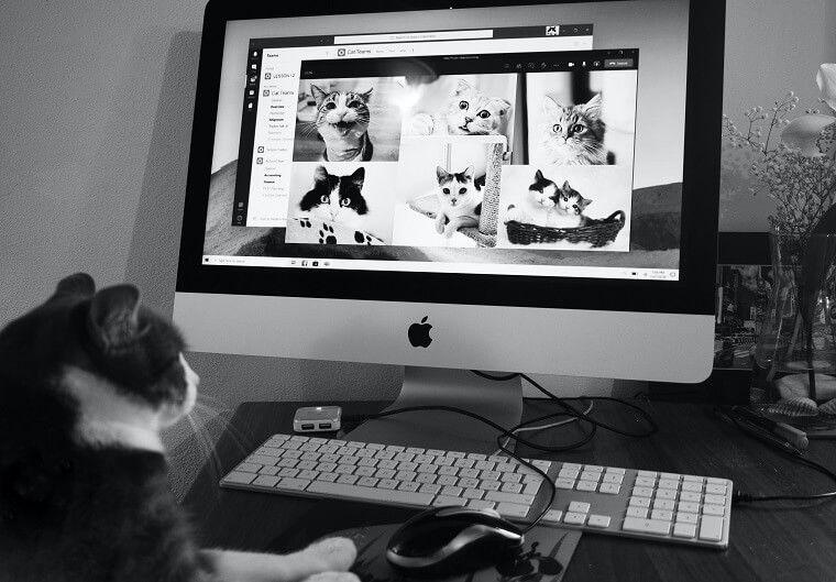 How to Build Remote Team - DSers