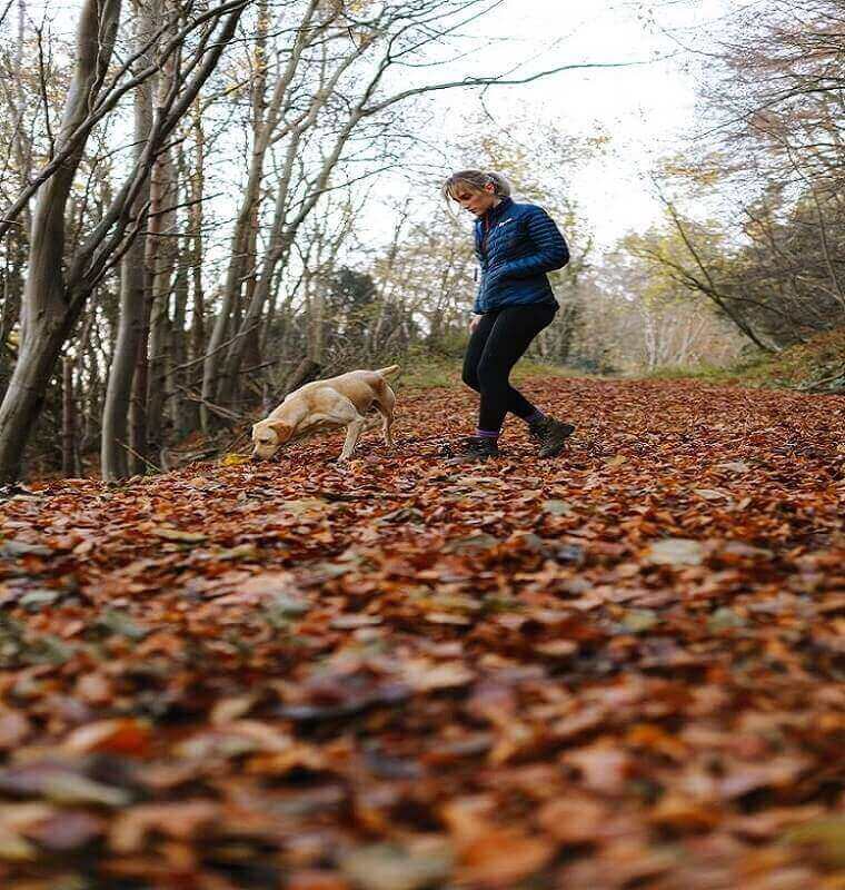 dog walking - DSers