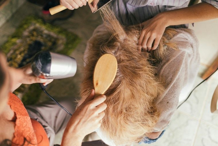 Pet care services - DSers