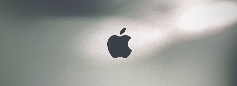 Visual Identity Apple Logo - DSers