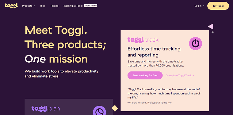 6. Toggl Homepage - DSers