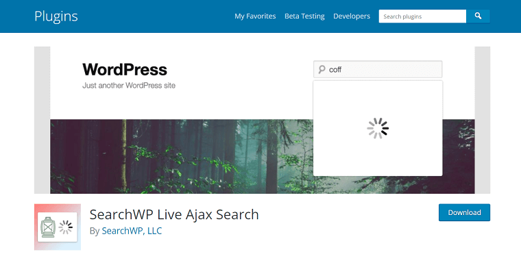 9. SearchWP - DSers