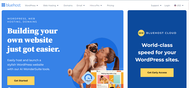 Bluehost- DSers