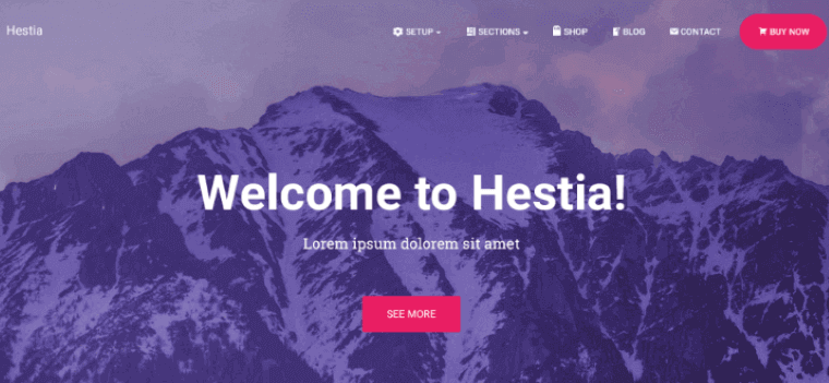 Hestia - DSers