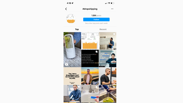 search results of dropshipping on Instagram
