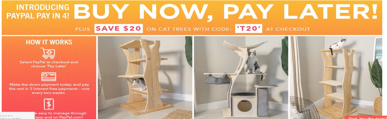 special feature for your payment-Meowingtons