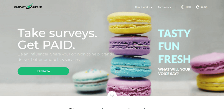 Survey Junkie Homepage - DSers
