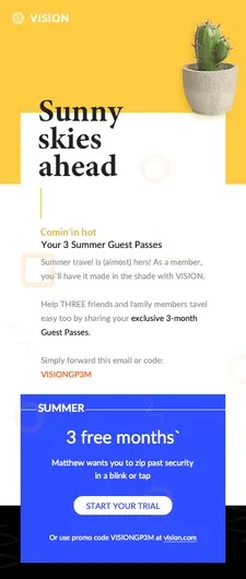 VISION email marketing example - DSers