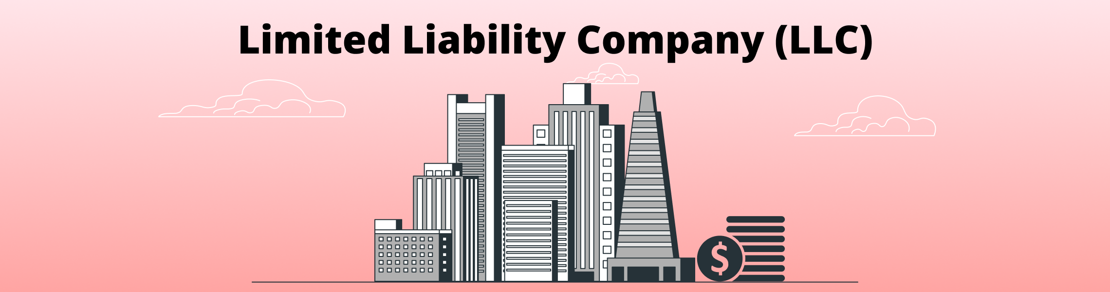 What Is LLC - DSers eCommerce Basics