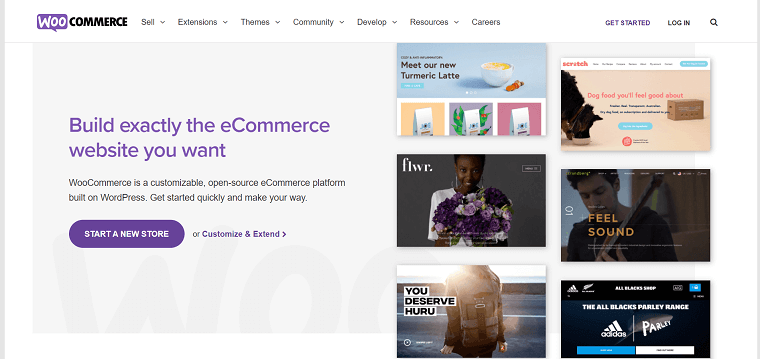 WooCommerce Homepage - DSers