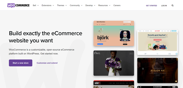 WooCommerce Homepage - DSers