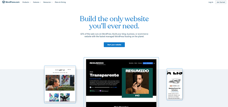 WordPress Homepage- DSers